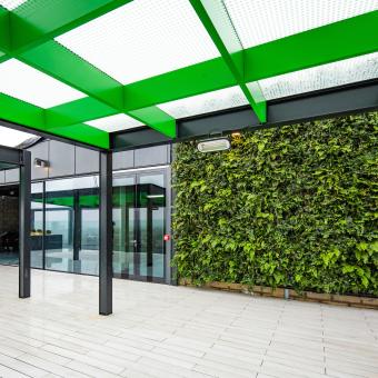 A 'living' wall of plants on a building